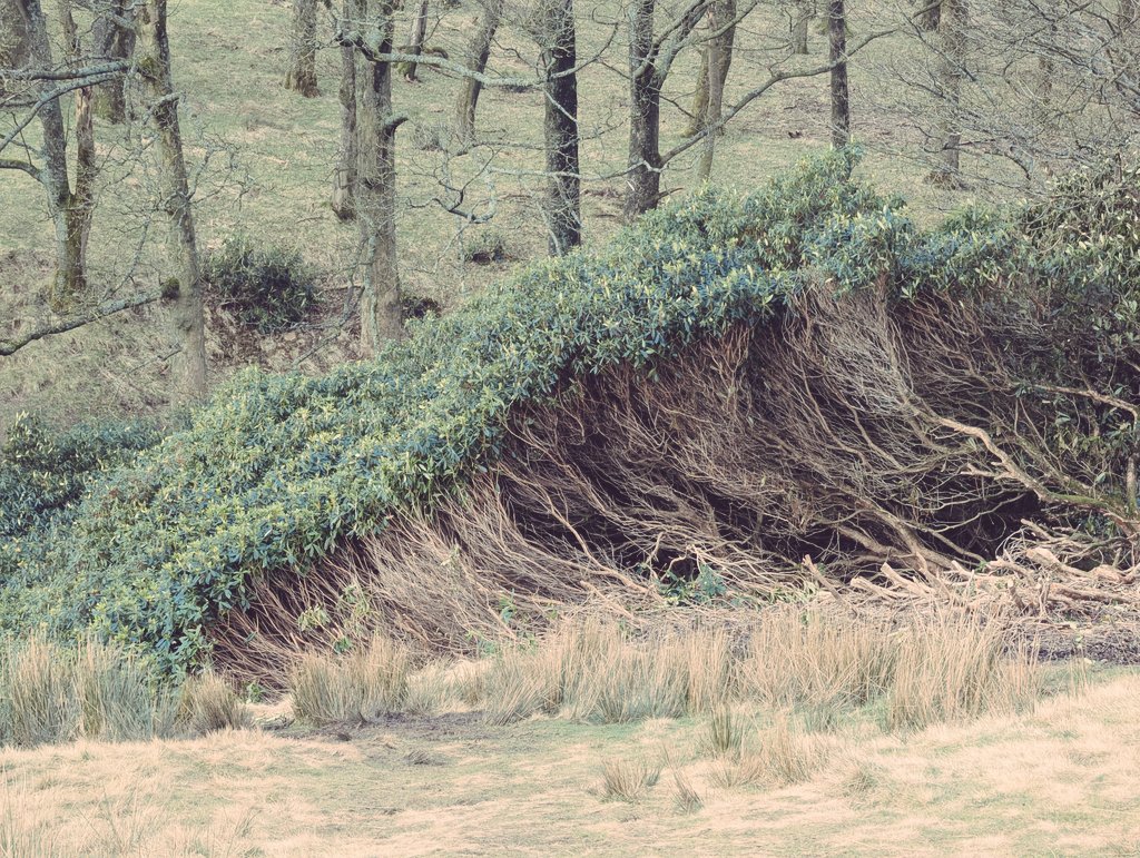 Harvinder Atwal (totally not on mastadon) tweet media