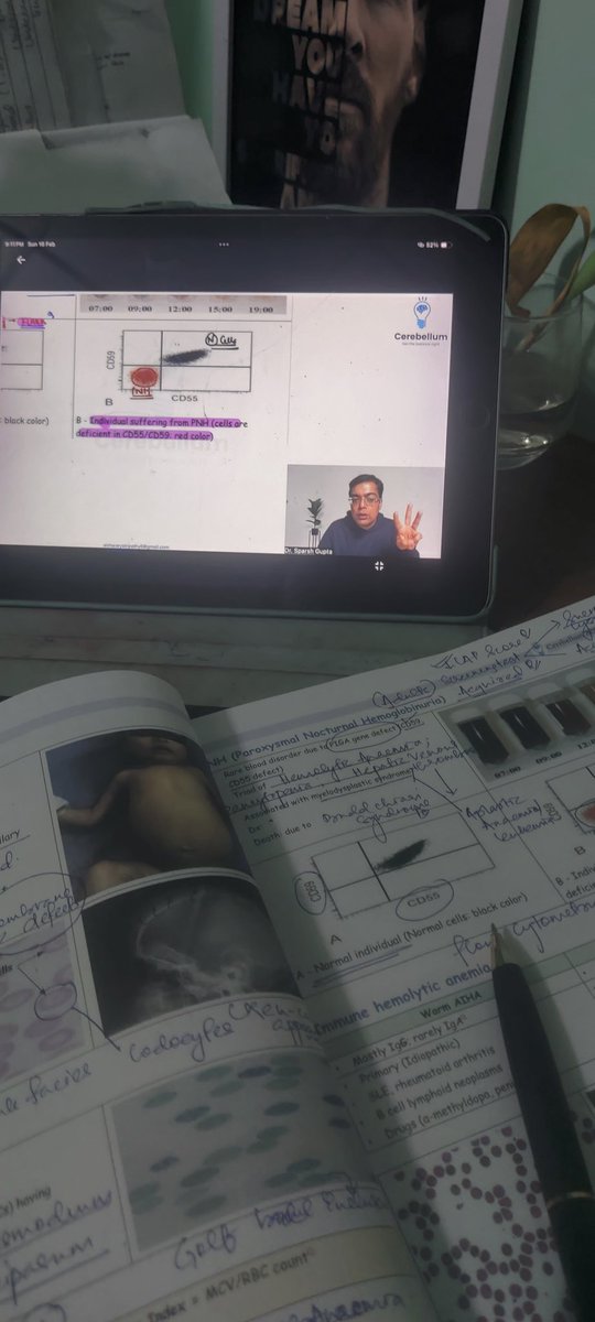 aishwar26895405's tweet photo. Concepts on point .
#pathology #sparshgupta #cerebellumacademy https://t.co/dmW1Xl6Lmu
