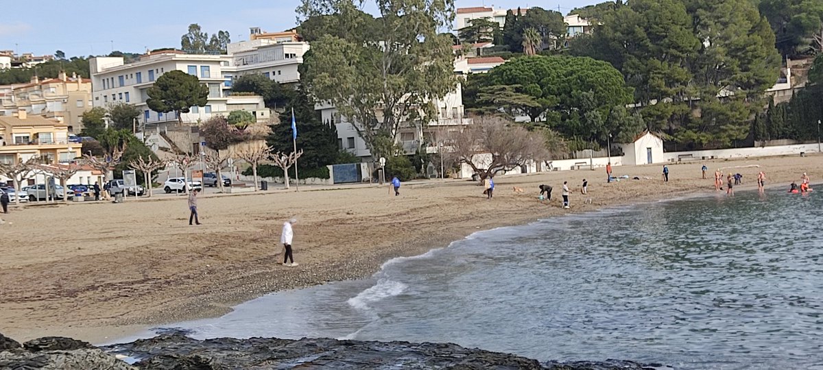 Platges Netes Llançà tweet media