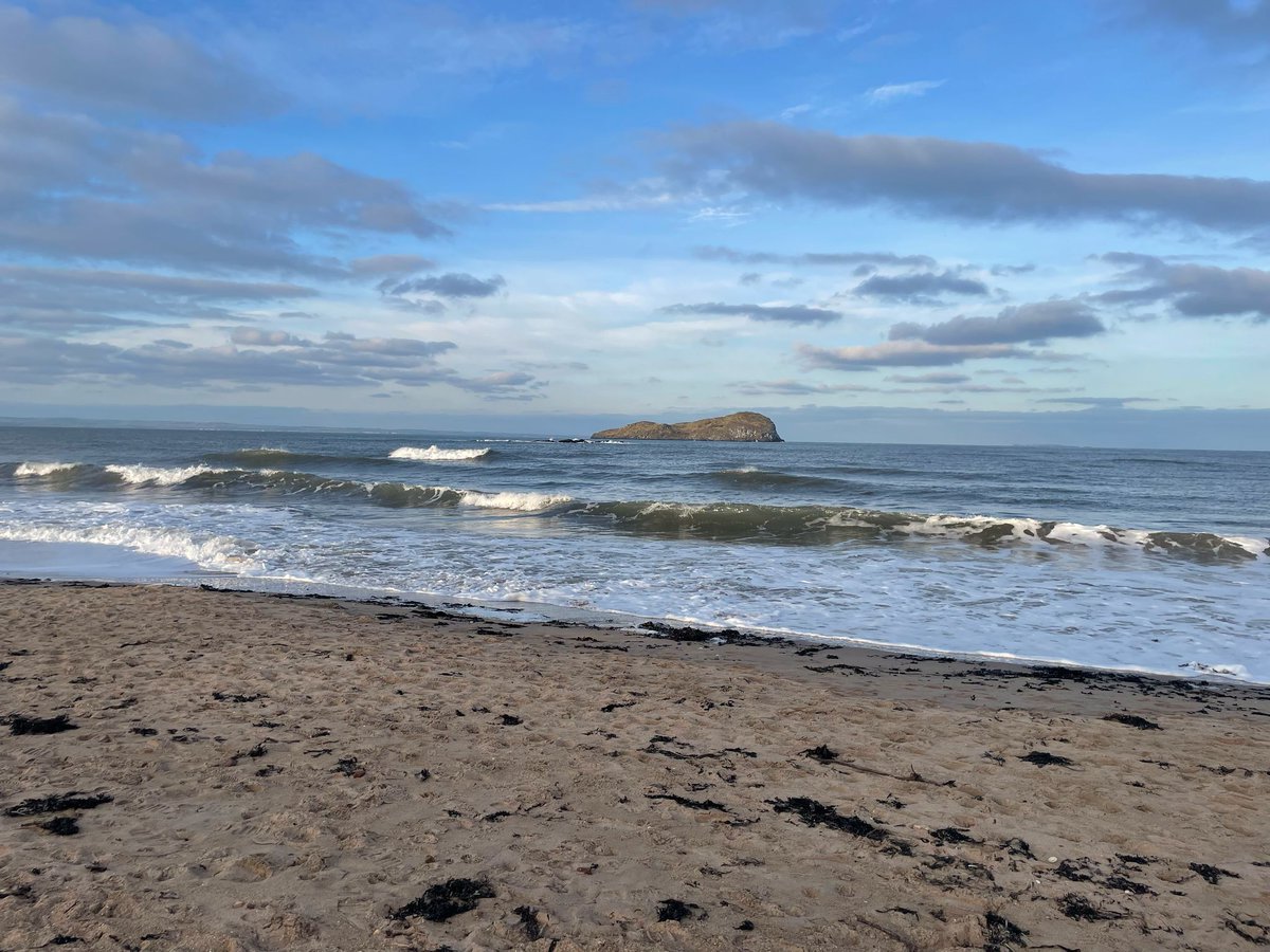 Ryan Beck tweet media