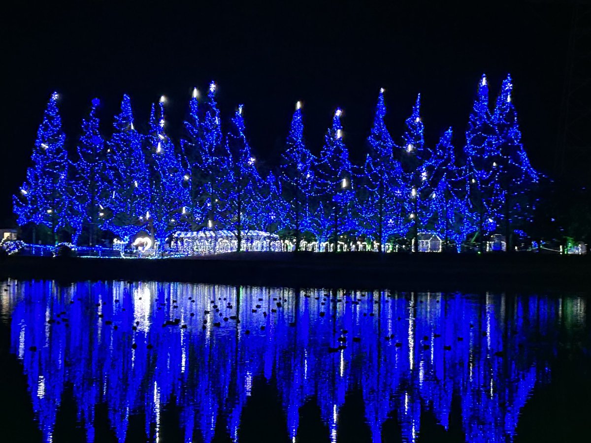 久しぶりにイルミネーション見に行って来た✨綺麗だったなぁ🤩
癒し時間は大切！明日から又、頑張ろう！！妹ちゃんファミリーよ、ありがとう〜♪