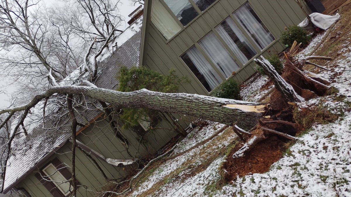 Jeremy Tucker tweet media