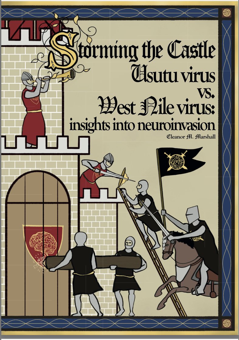 Marion Koopmans, publications: https://pure.eur.nl tweet media