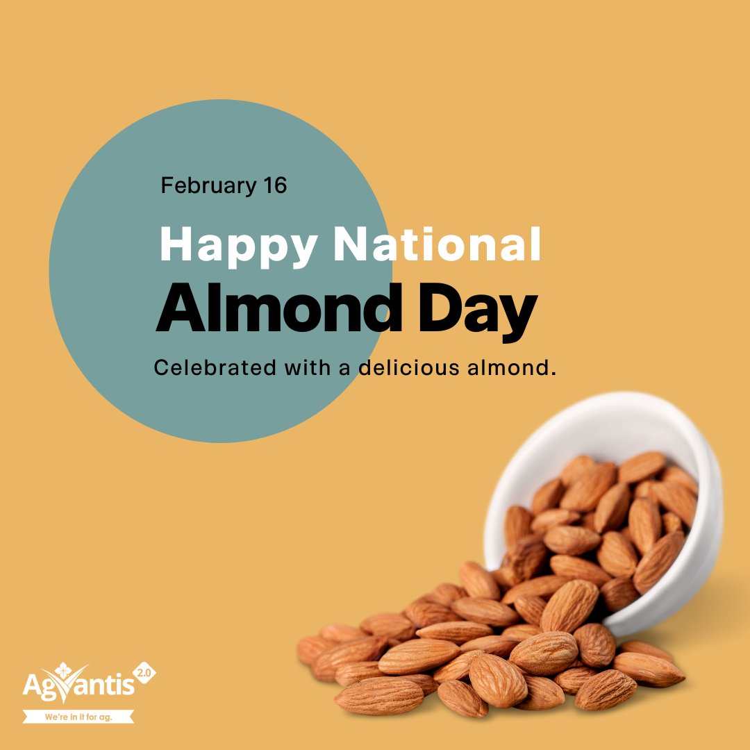 agvantis's tweet photo. Happy National Almond Day!  From biscotti to nut milk to trail mix, almonds are a delicious ingredient in plenty of dishes and we thank the farmers who grow them.  #AgVantis #AgVantisStrong #WereInItForAg #AgVantis20. https://t.co/UuT9XTp8l8