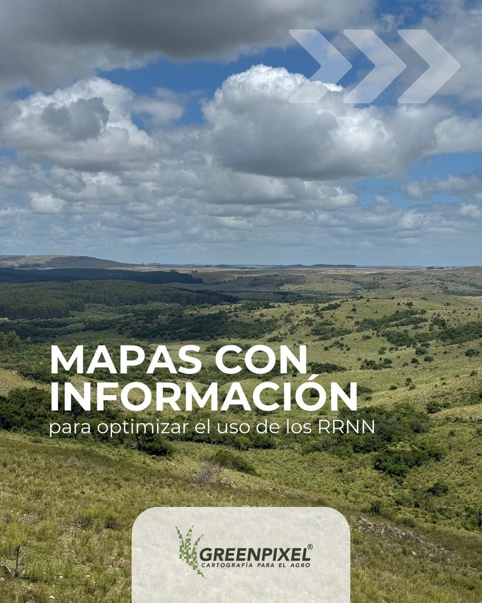 GreenPixel 🇺🇾 tweet media