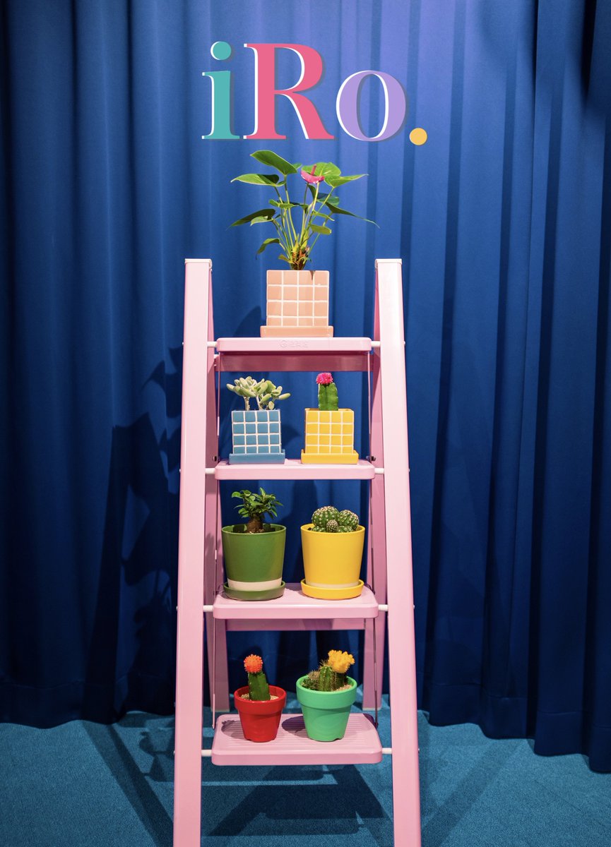 studio_iRo_'s tweet photo. まもなくオープン予定！！
Photo studio 「iRo.」です！

お待たせしました！
3月1日(土)から正式にご利用を開始したいと思っております！！
サイトやご予約開始日時・予約フォームは近日公開させていただきますので、もう少々お待ちください🌷

かわいい観葉植物たちも仲間入りしました🪴🌼 https://t.co/1mTxywi6ql