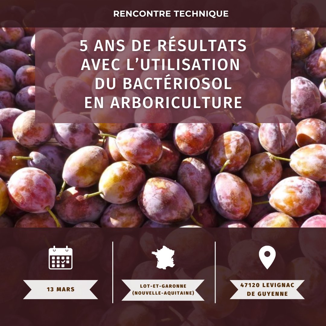 la_Sobac's tweet image. 🌳 5 ans de résultats avec BACTÉRIOSOL en arboriculture 🌱
📅 RDV le 13/03 à Lévignac-de-Guyenne ! 
Découvrez des solutions durables et rentables avec SOBAC pour valoriser vos cultures.
➡️ Inscriptions et informations : sobac.fr/fr/reunion-tec…