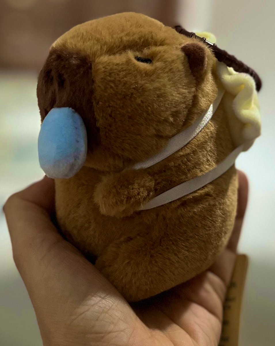 Tee hee 😬

Received “upgraded” version of collar and early birthday present from 主人(<a href="/jeruttali/">JerutTali 🪢💜 ✈️🇹🇭20/11/2025</a>). 
谢谢～

*please ignore the chest hair 😂