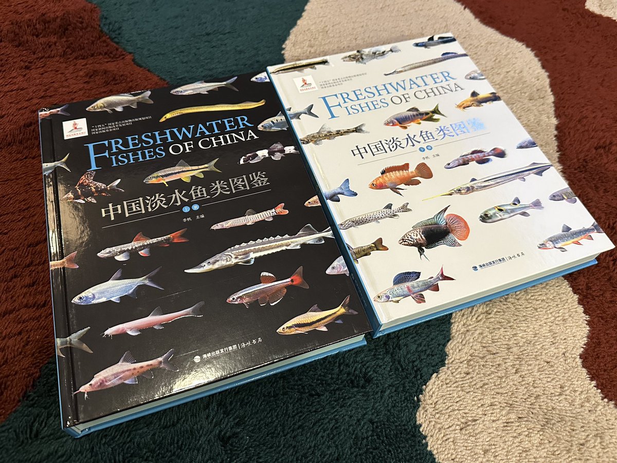 花木魚【35個まとめ】 花木魚【35個まとめ】 花木魚【35個まとめ