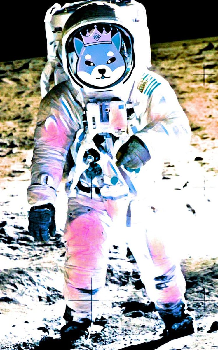 The moon mission continues...

gate.io/en/trade/KINGS…

#KINGSHIB