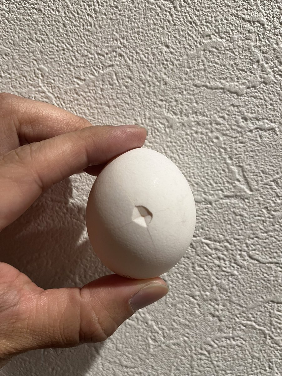 狙撃でもされたんか…

※数日前に買った物でパック内で割れたものは衛生上少しヤバいとの事なのでちゃんと破棄しました！

皆も狙撃されないよう注意してねっ！
(★≧▽^))/☆