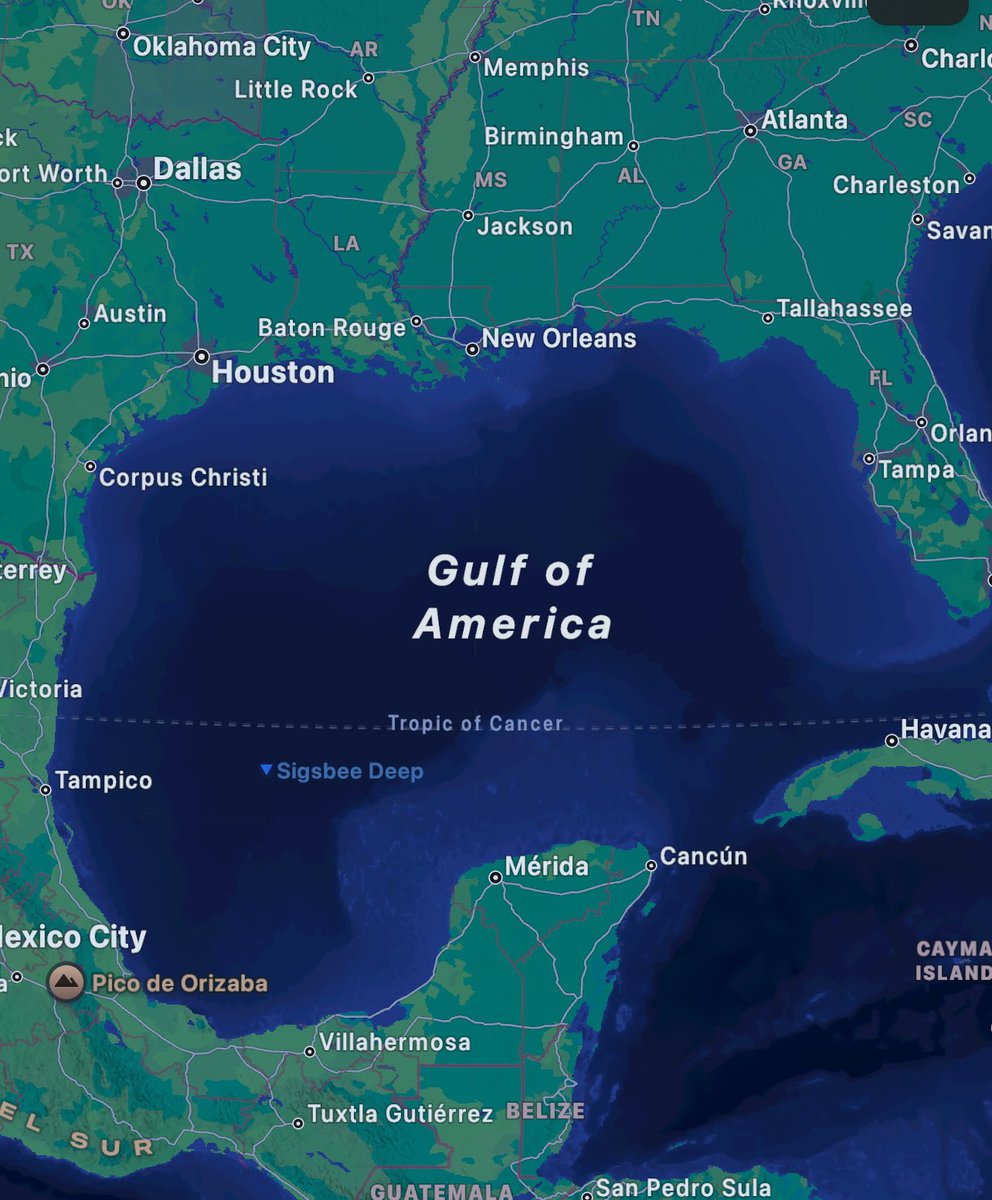 TxxRedd's tweet image. Google and Apple yall pu$$y!!?