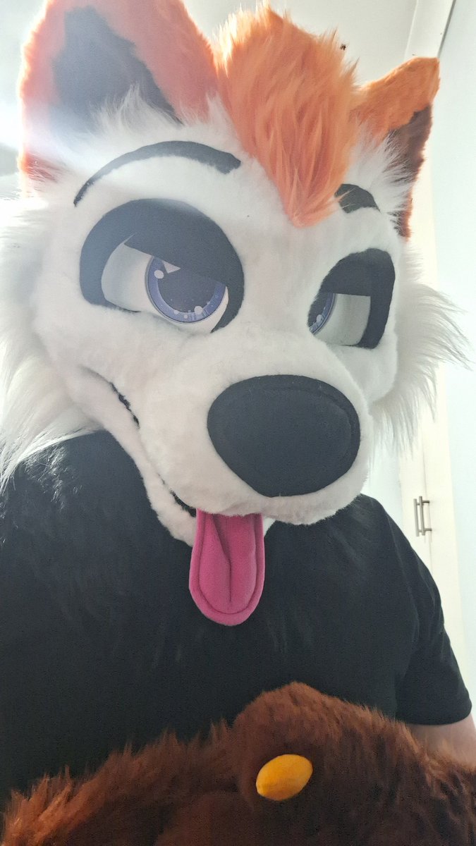 introduce you guys to spike 🤍🧡 I would love to say a big thank you to <a href="/AcedCreation/">AcedCreations</a> for doing an amazing job 🧡🤍