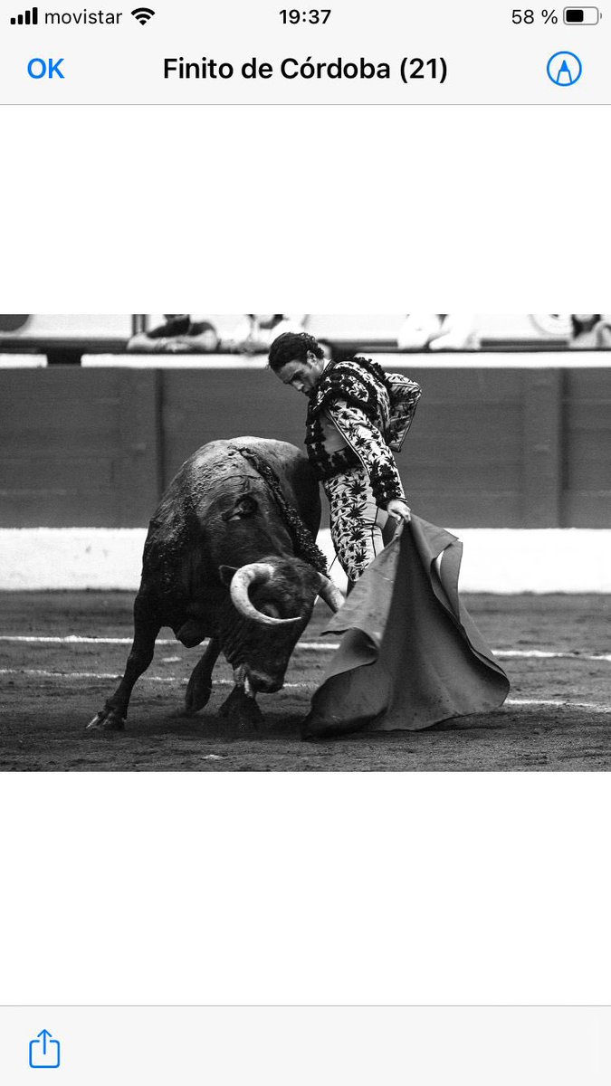 A petición de <a href="/ftorodelidia/">Fundación Toro Lidia</a> en Córdoba, <a href="/AndaluciaJunta/">Junta de Andalucía</a>  ha concedido a Juan Serrano “Finito de Córdoba” la bandera de Andalucía, el máximo reconocimiento autonómico a nivel provincial.