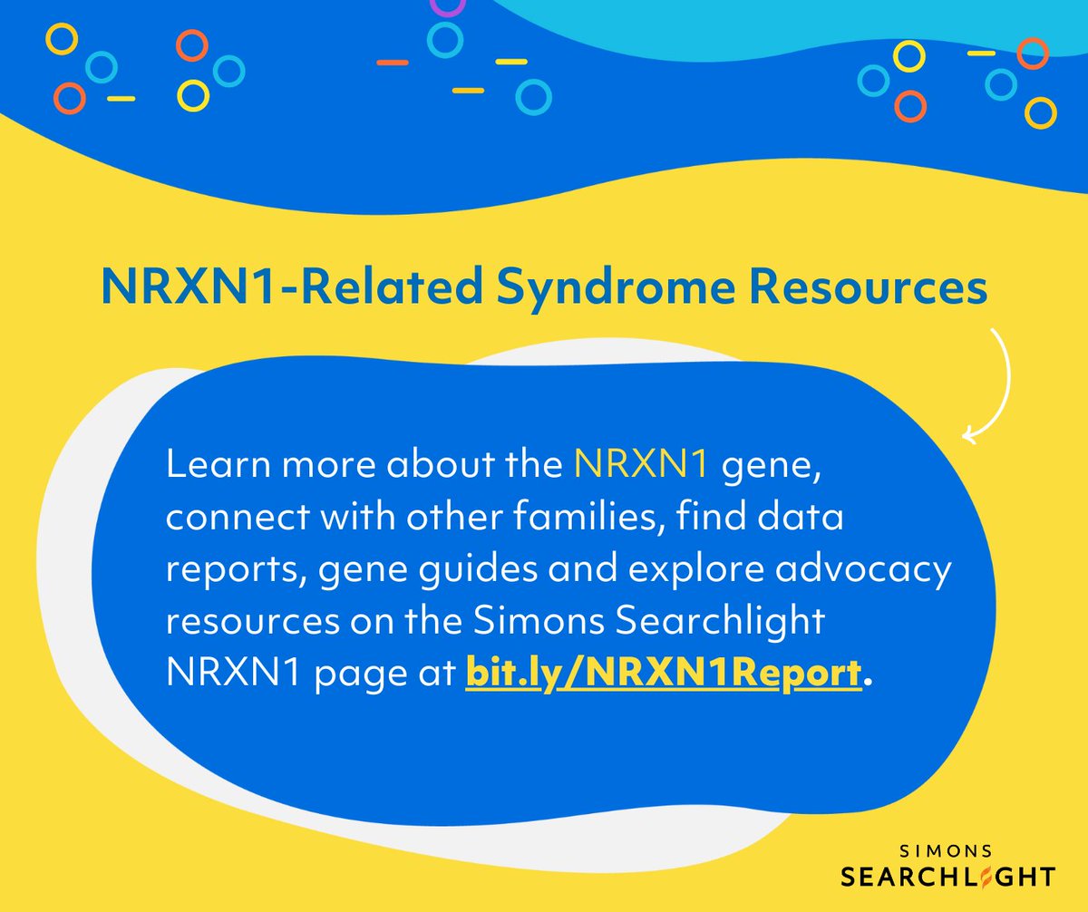 Simons Searchlight tweet media