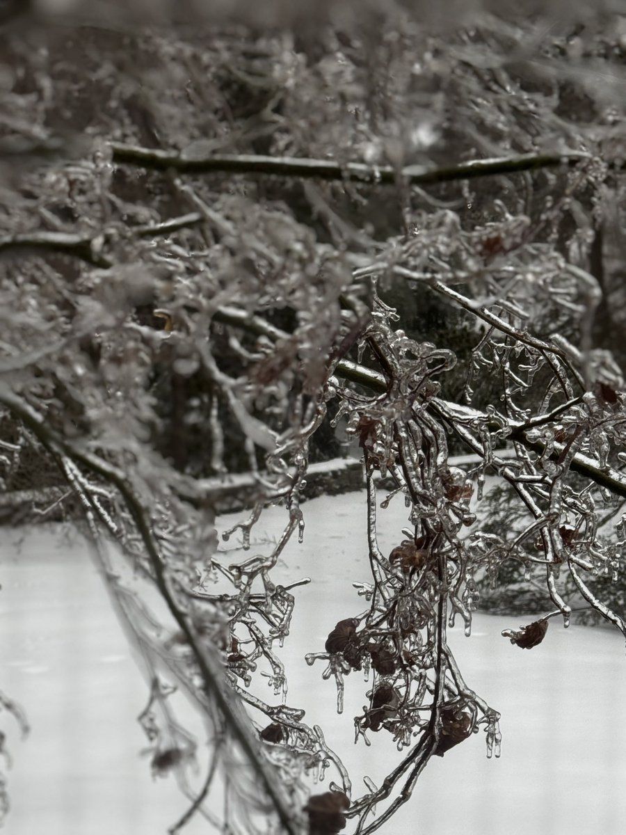 TCKyriakides's tweet photo. Groundhog ฮฑฮปฮฎฯฮทโฆฮตฯฮฑฮณฯฯฮฑฮผฮตโฆ
#stillwinter https://t.co/bK4jiNFzFv