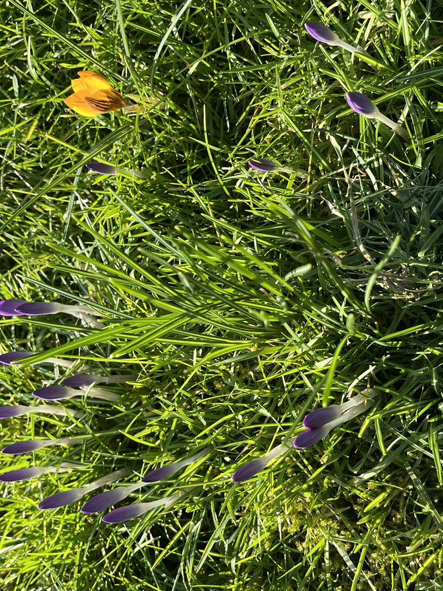 Lente!