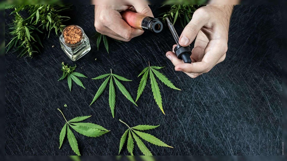 🇫🇷🍁 DÉBAT | La consommation de cannabis doit-elle être légalisée, dépénalisée ou rester interdite selon vous ?