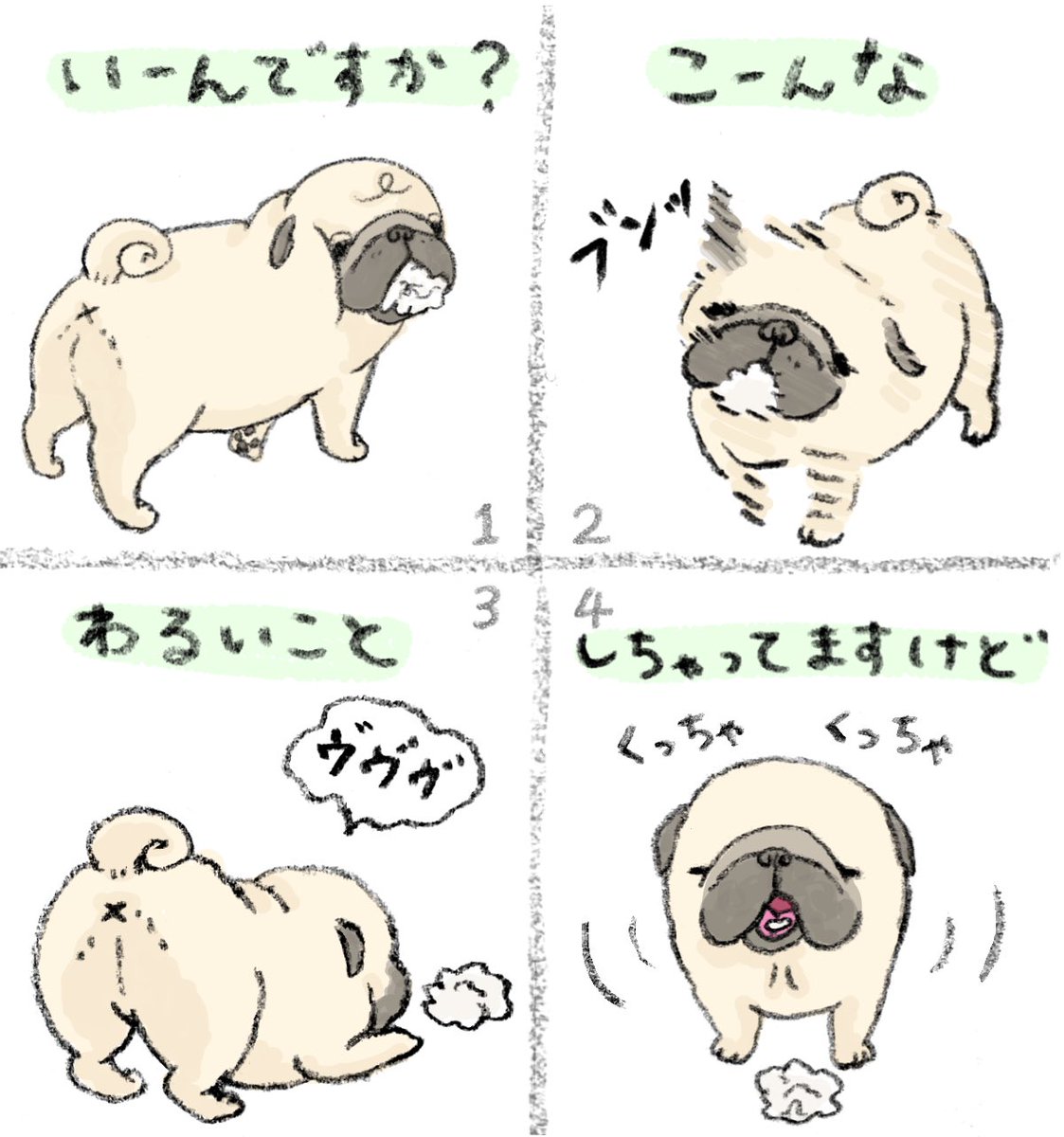 ハナちゃん tweet media