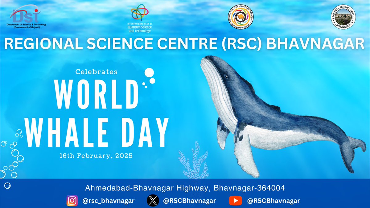 MakwanaBan66575's tweet image. Celebrated World Whale Day.Let's dive into action to protect these majestic creatures & their habitats. #WorldWhaleDay #OceanProtection
#scienceandinnovation #youthempowerment #viksitbharat #scienceandtechnology #sciencecarnival