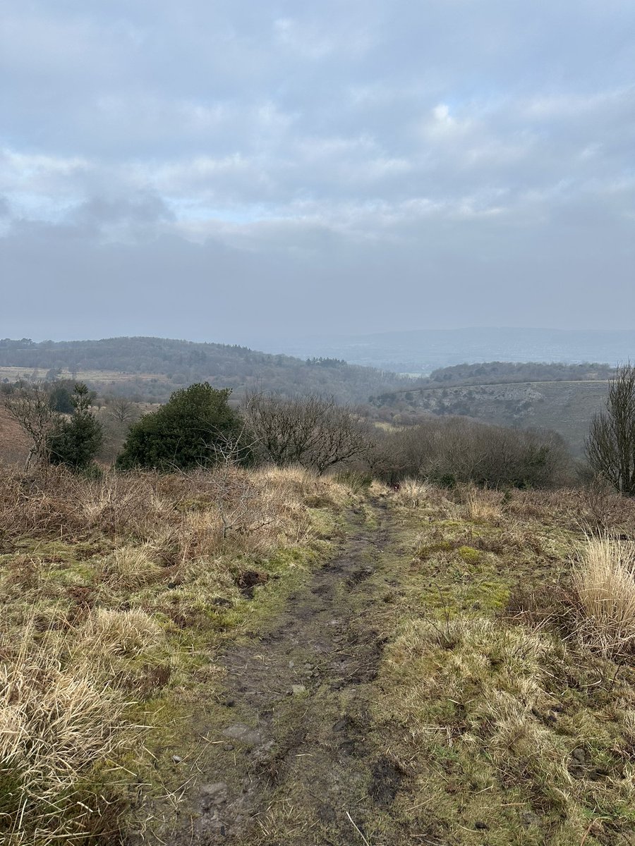 Charlotte Fry RN DN QN (@cfry_) on Twitter photo Continuing to support <a href="/BecksBDaniels/">Rebecca Daniels BEM. RNC, BSc(hons), MSc, QN, PNA</a> with #QNISupportForNurses #12in12 challenge. Climbed to highest point on the #Mendips #BeaconBatch this morning <a href="/TheQNI/">The Queen's Nursing Institute</a> <a href="/firogers3/">Fiona Rogers MBA RN SCPHN SN QN</a> Continuing to support <a href="/BecksBDaniels/">Rebecca Daniels BEM. RNC, BSc(hons), MSc, QN, PNA</a> with #QNISupportForNurses #12in12 challenge. Climbed to highest point on the #Mendips #BeaconBatch this morning <a href="/TheQNI/">The Queen's Nursing Institute</a> <a href="/firogers3/">Fiona Rogers MBA RN SCPHN SN QN</a>