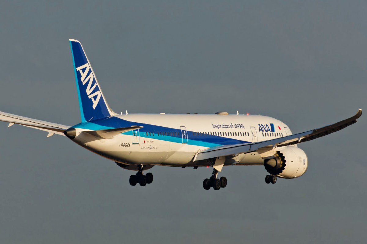 scr_sixty2's tweet photo. 久しぶりに2号機✈ もう13年目なんだね
就航直後の2号機も貼っておこう
ALL NIPPON AIRWAYS
#ANA
#boeing #B787 #JA802A #DREAMLINER
#aviationphotography https://t.co/u1bvAu9iZl