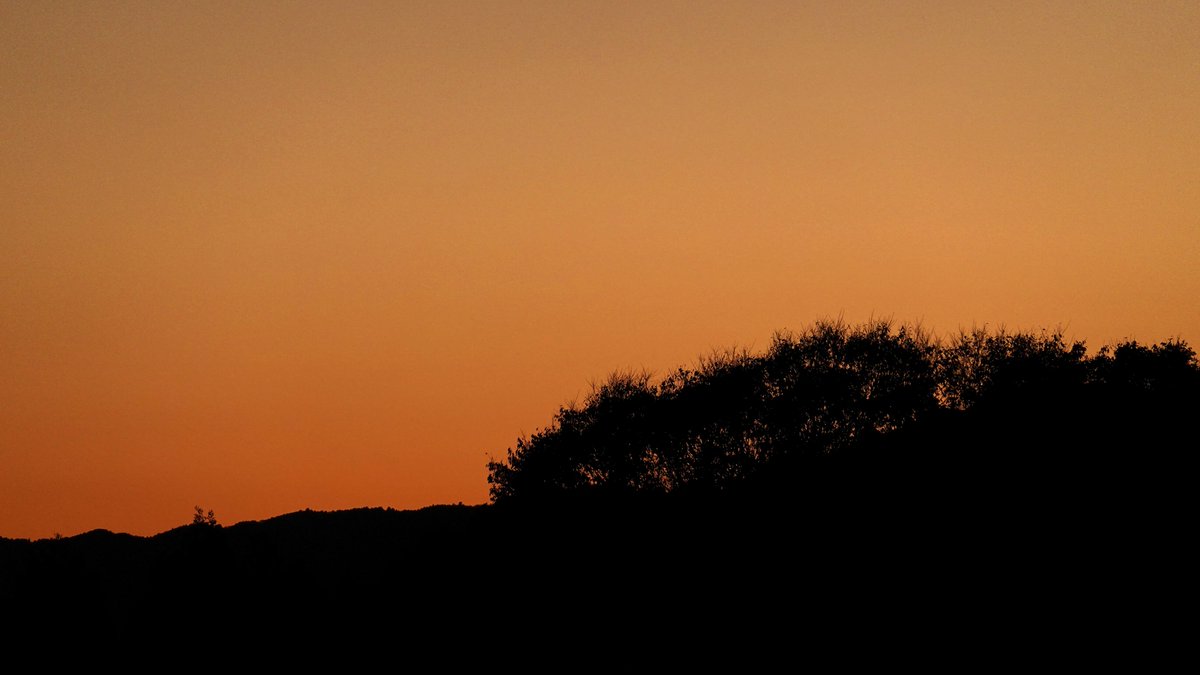 Mellows2011's tweet photo. #SpringColors
#MellowsOrange
#OrangeSunset
#MiddleOfFeburuary2025
#WinterIntoSpring
#MyFavoriteSpot
🍂 https://t.co/GVGBlx5reN