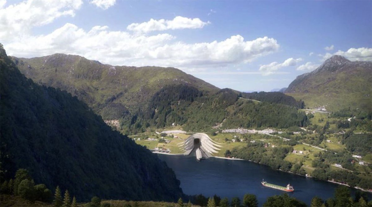 Fernando M. Furlan tweet media