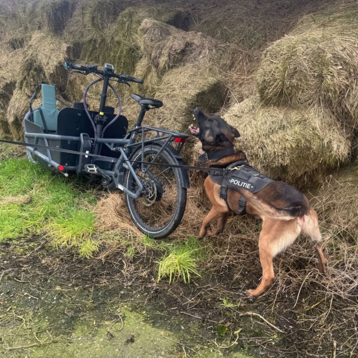 Dief en gestolen bakfiets gevonden in Katwoude