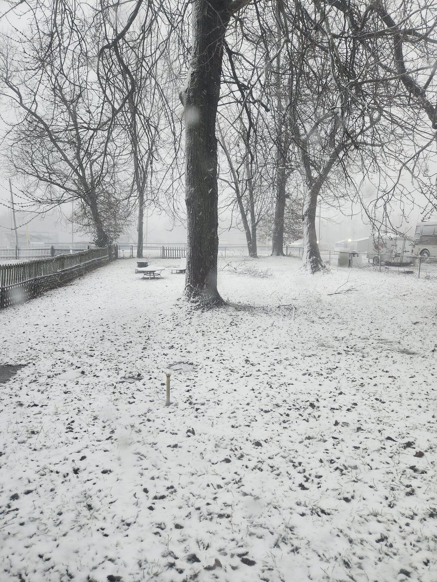 Great more snow