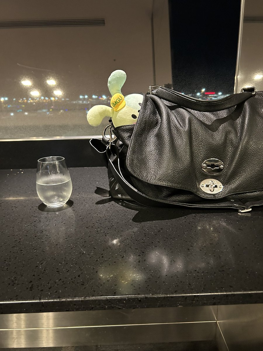 チェックイン完了、と思いきや早速飛行機の出発時刻が遅れてるようです、、、

そういえばイングちゃんは初の海外出張か？