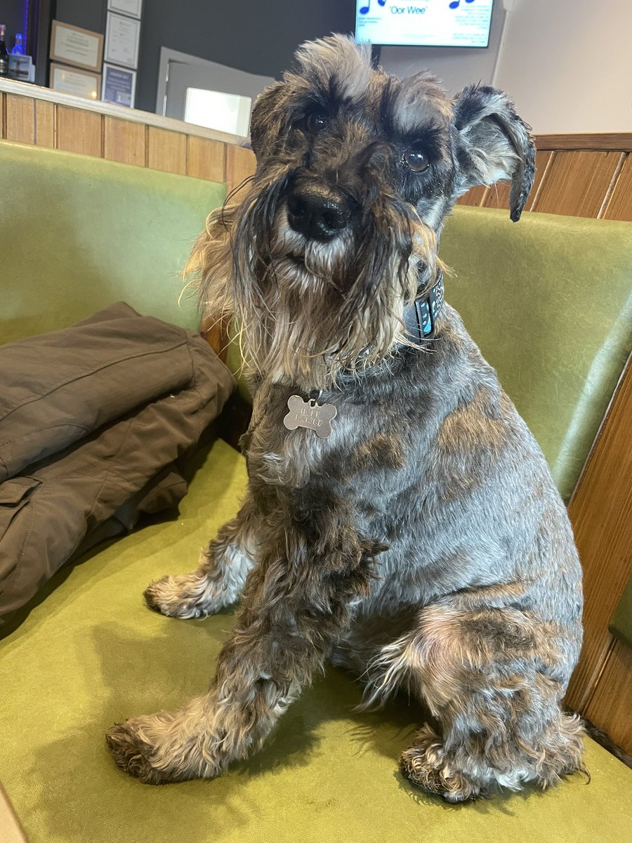 Carolyn Hope (Carrie) (@carolynrae01) on Twitter photo You WILL give that last piece of sausage to me 👀🐾 He pulls us in here after the Sunday morning walk <a href="/CentrestageMT/">CentreStage</a> You WILL give that last piece of sausage to me 👀🐾 He pulls us in here after the Sunday morning walk <a href="/CentrestageMT/">CentreStage</a>