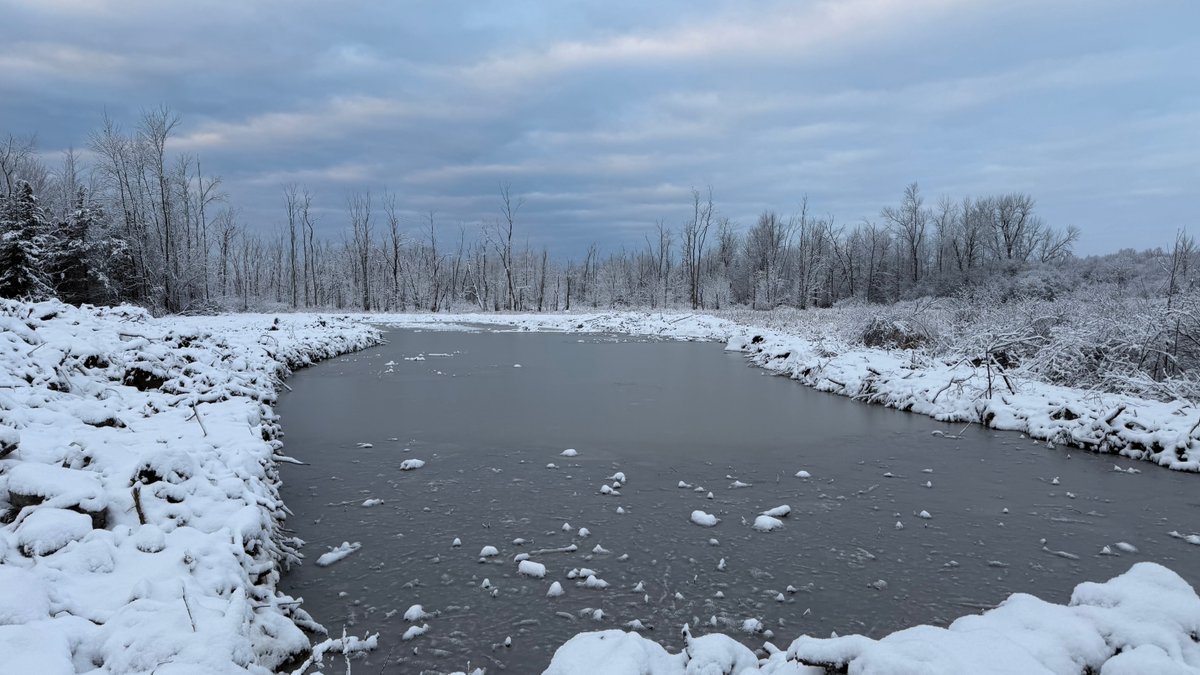 Ducks Unlimited Canada in Ontario tweet media