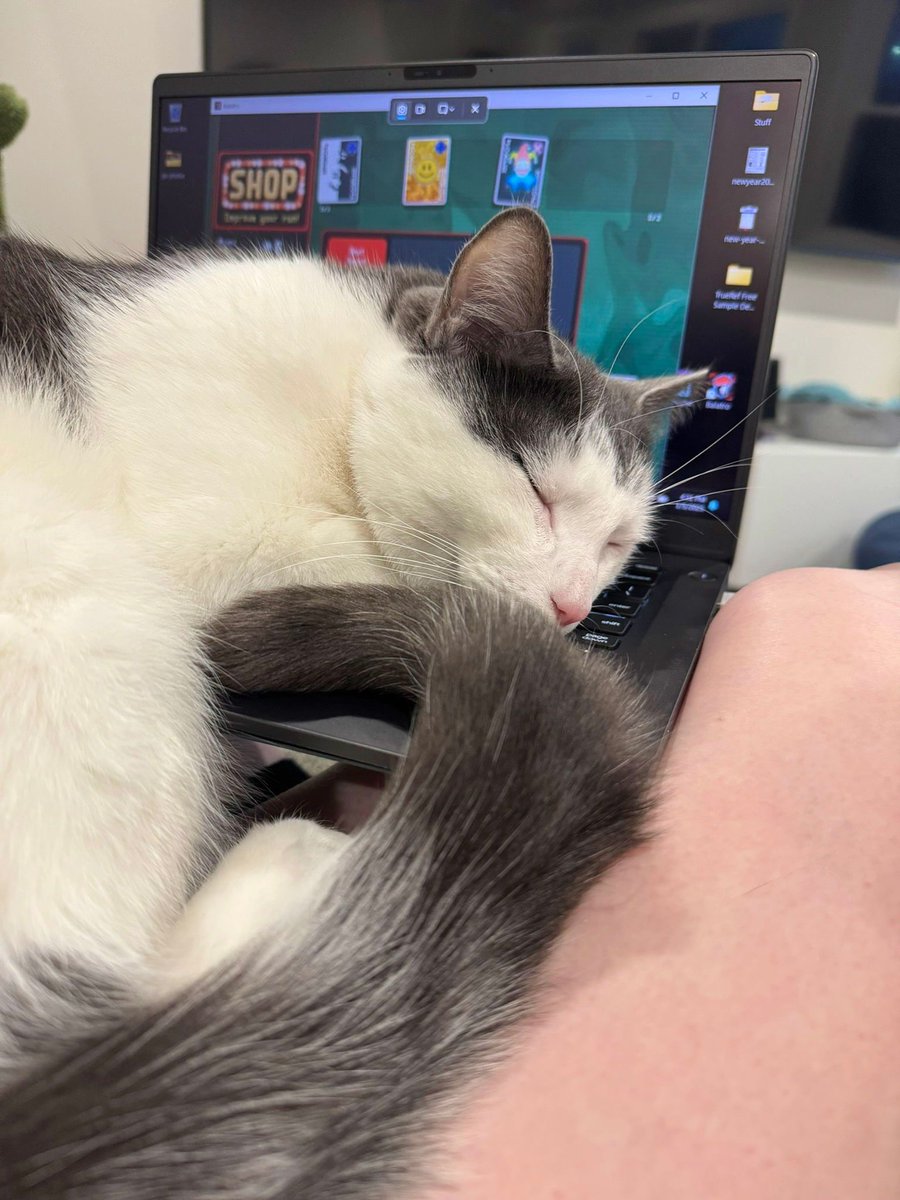 Yamcans's tweet photo. 🐾 Kitty Zen Incoming 🐾
You know Sundays are for the kitties - they are my best(worst) Balatro enablers. 🃏
Wishing cozy vibes and let's avoid those 'sunday scaries'. 💞
#CatZen #Balatro https://t.co/4Axz2p2Hlr