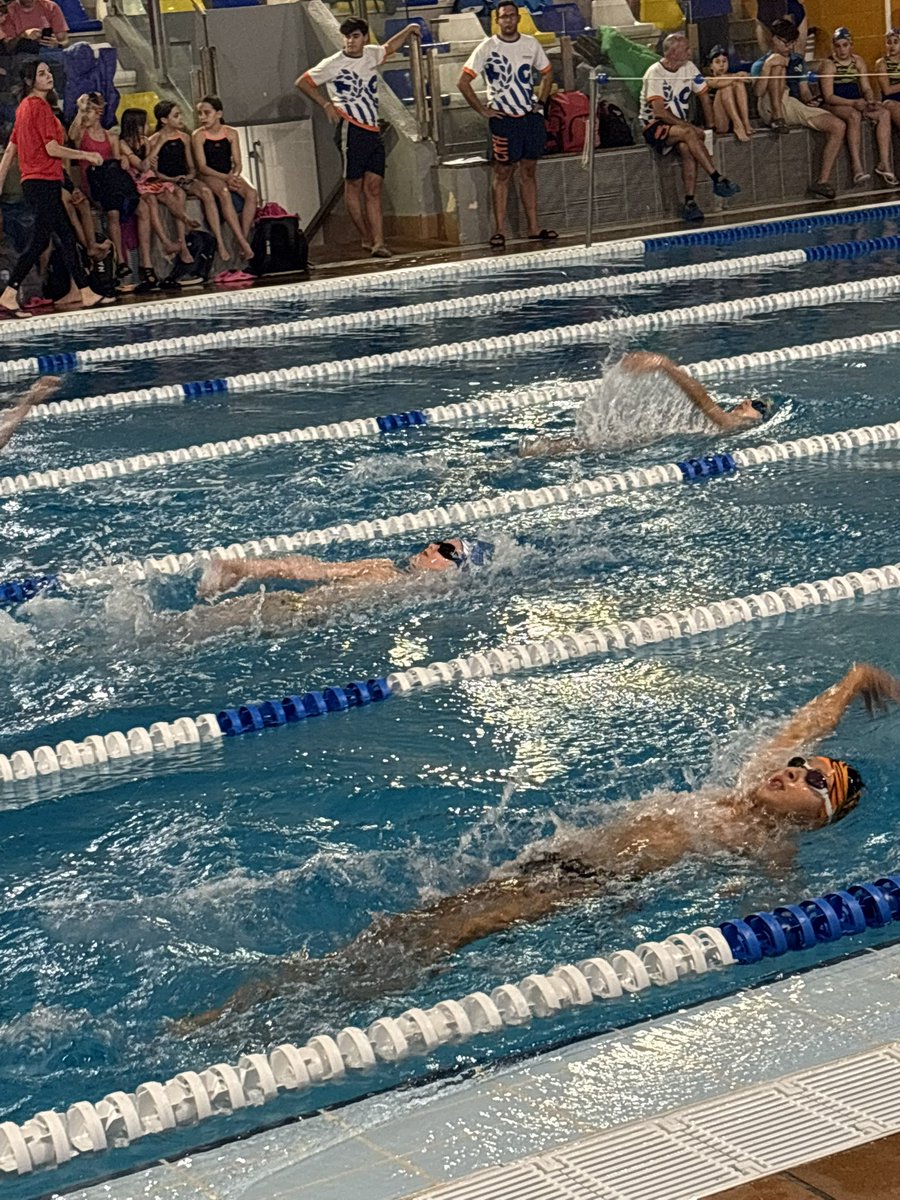 Consell Esportiu de l'Hospitalet tweet media