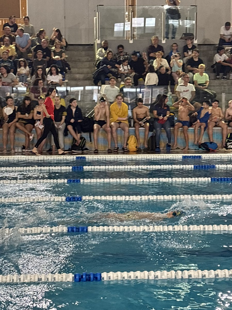 Consell Esportiu de l'Hospitalet tweet media