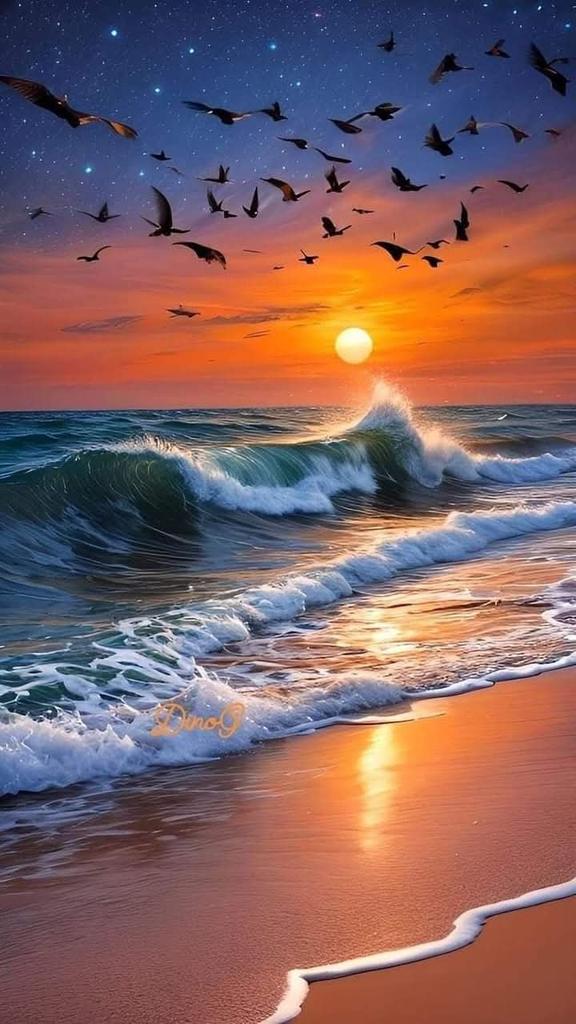 Good evening 🌺🌺🌺🌺
Stay blessed 🌺🌺🌺🌺
Stay connected 🌺🌺🌺