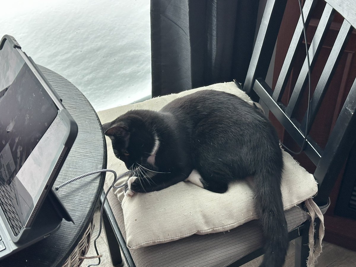 Graham - Resurrection Sunday is underway this morning 
Albeit with a different view because of the weather!
Me and my researcher ‘Mystery’ are ready to go!

What’s your view this morning?