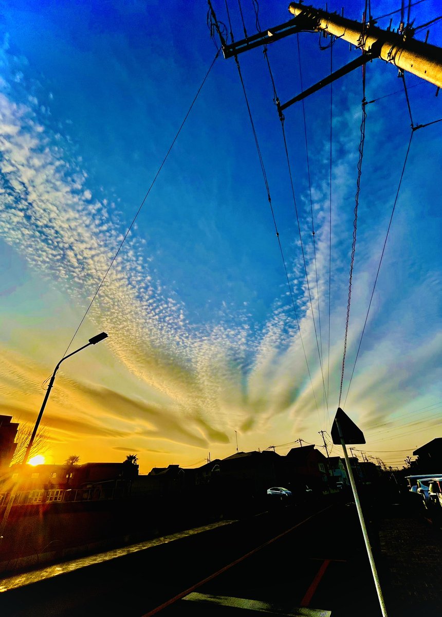 ⭐️ぴーちゃん358⭐️ tweet media