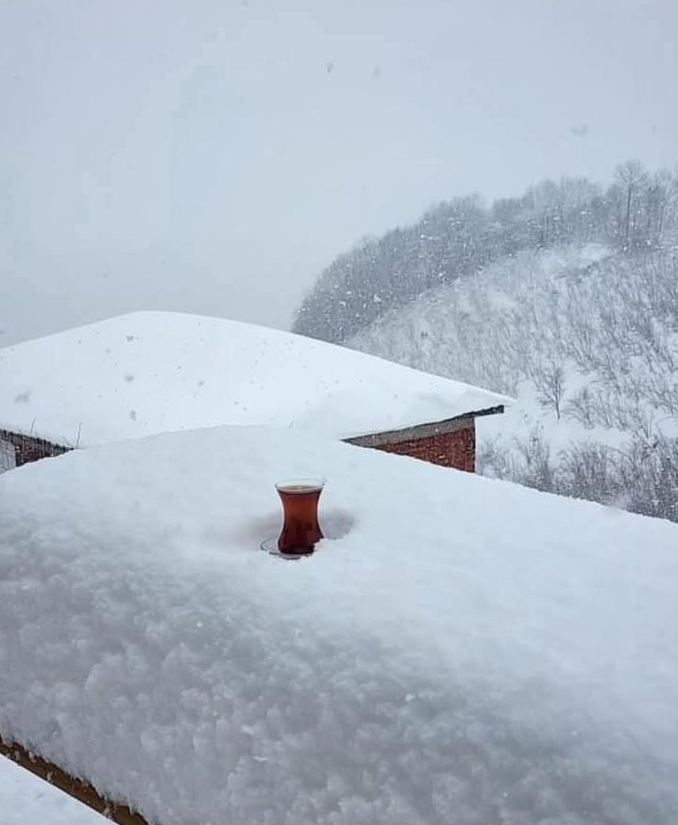 mst7741's tweet image.