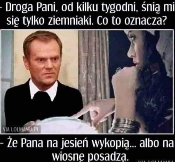 Gj6XMgfXgAM9hEm?format=jpg&name=900x900