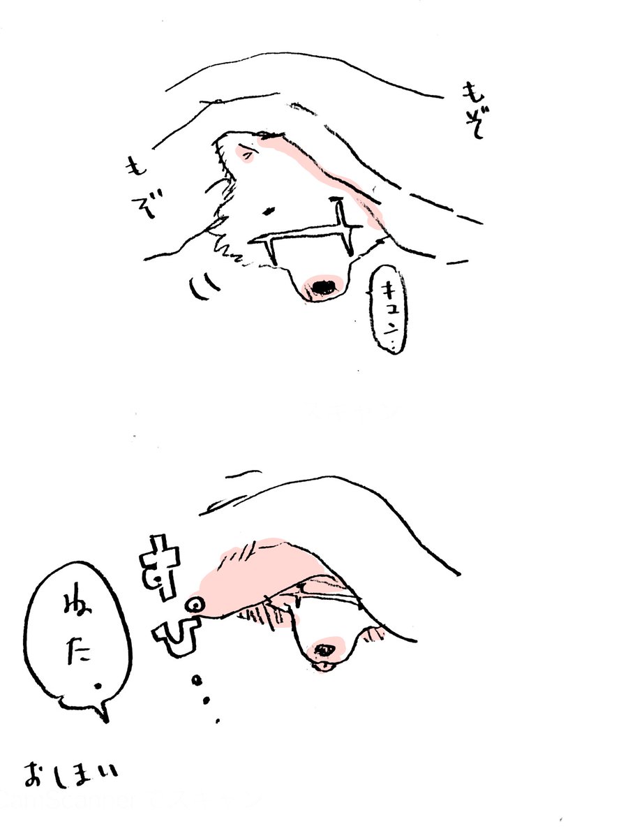 たまにスッギの方が起きれない時ある。満月の次の日とか。 