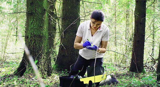 Strengthening forest data collection and fire management in the Caucasus, Central Asia and Türkiye - Food and Agriculture Organization of the United Nations asia-news.biz/?p=86481