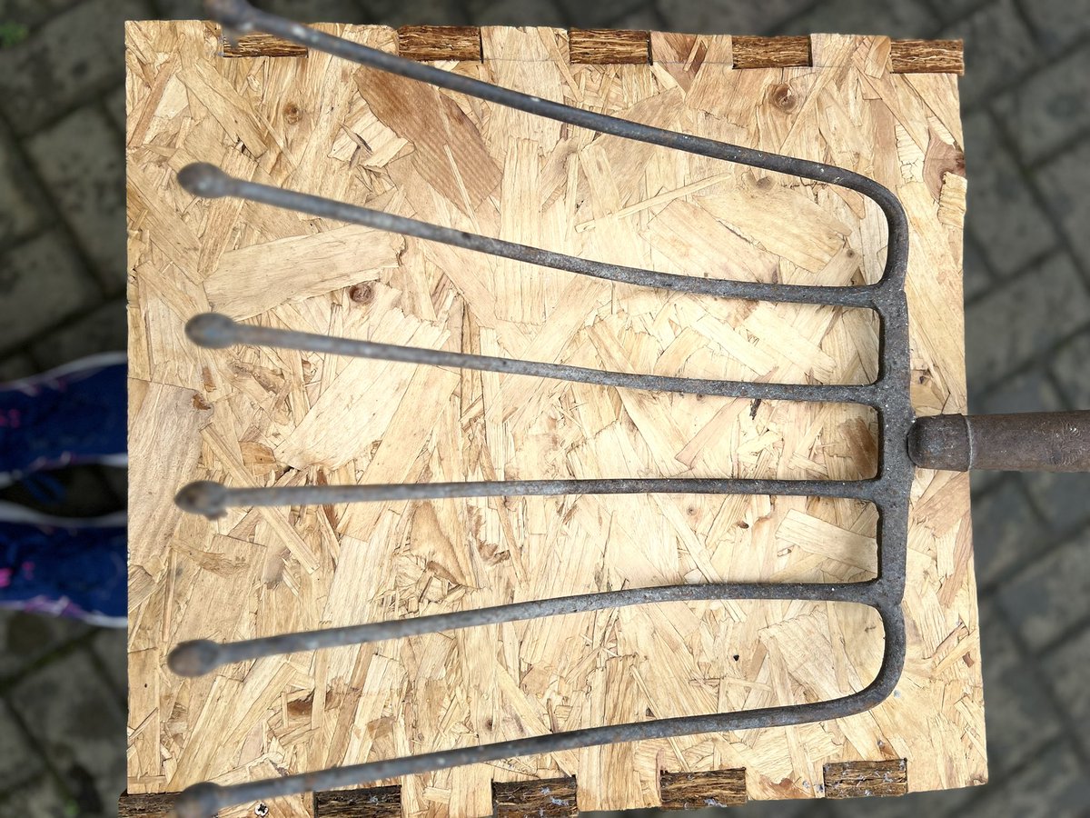 Anne Healy tweet media