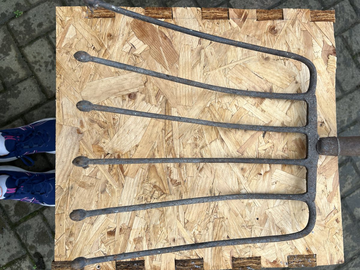 Anne Healy tweet media