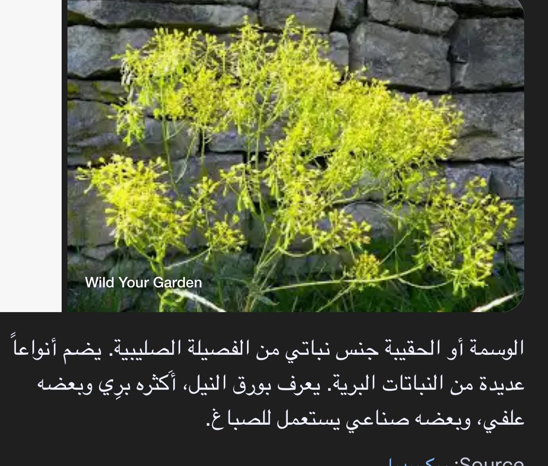 m_djsm's tweet photo. @Mooli09 @sajdah369ksa شوفيها تحطين حنا وبعدها اليوم الثاني تخلطين الوسمه مع زبادي وتحطينها على شعرك ترجع لونه اسود بس مو غامق لا الاسود الطبيعي https://t.co/EBy8RncsId