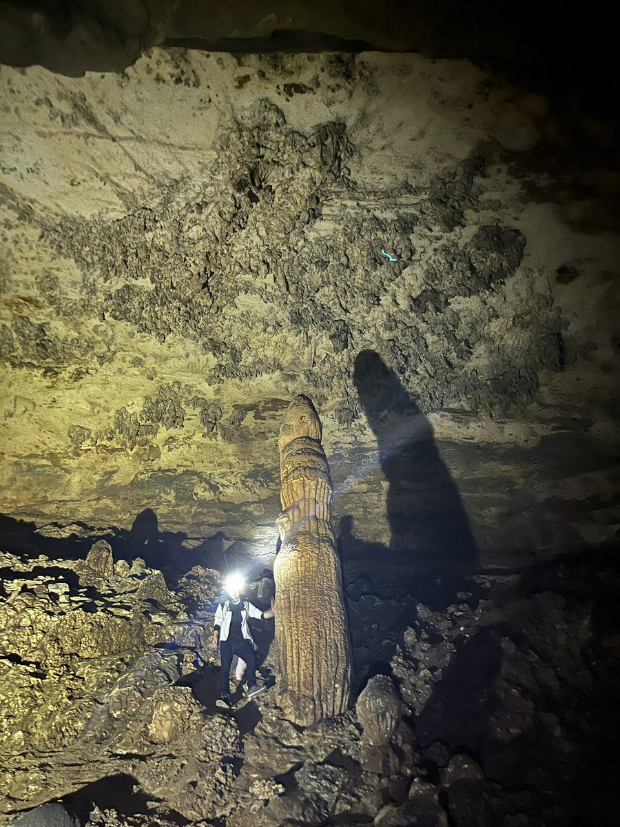 跟我的一样挺立