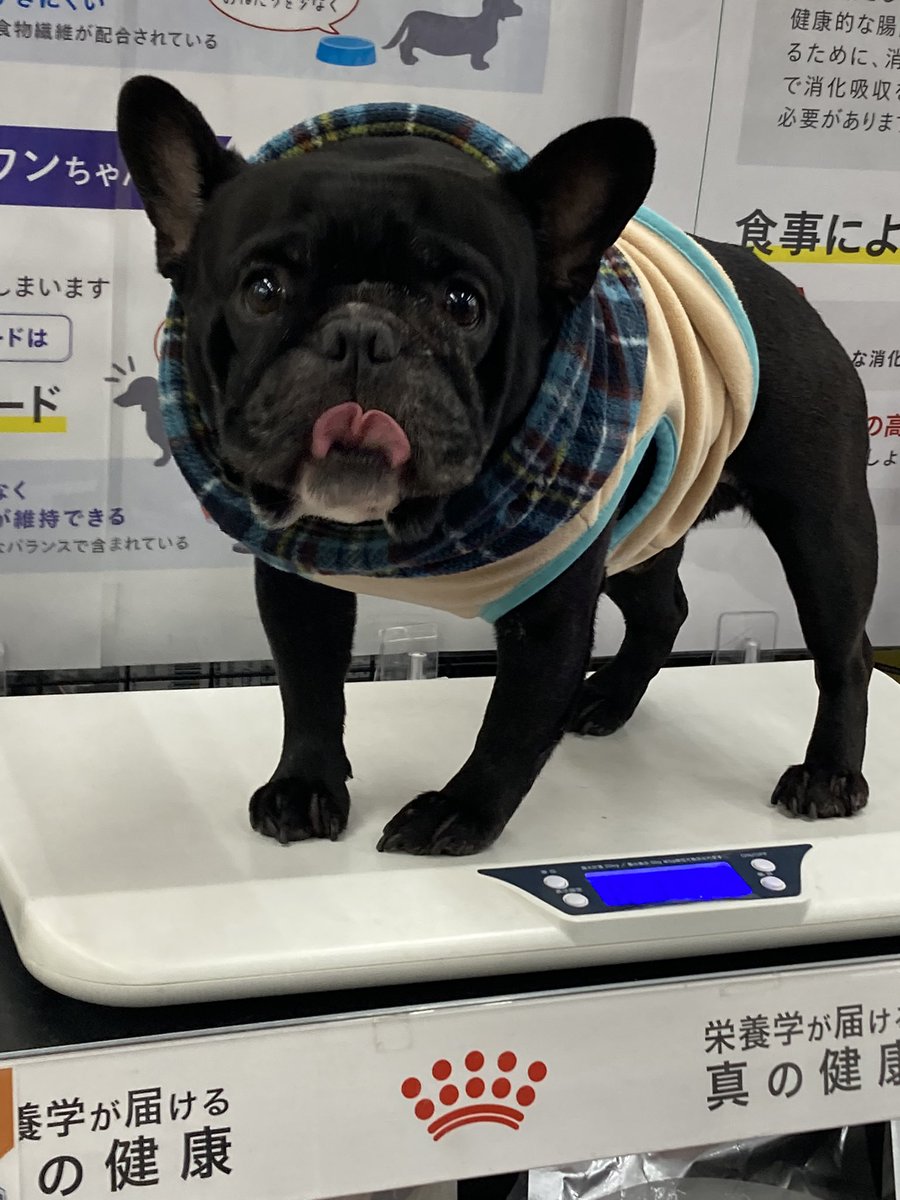 こうちゃん (@tbmc6) / Posts / X