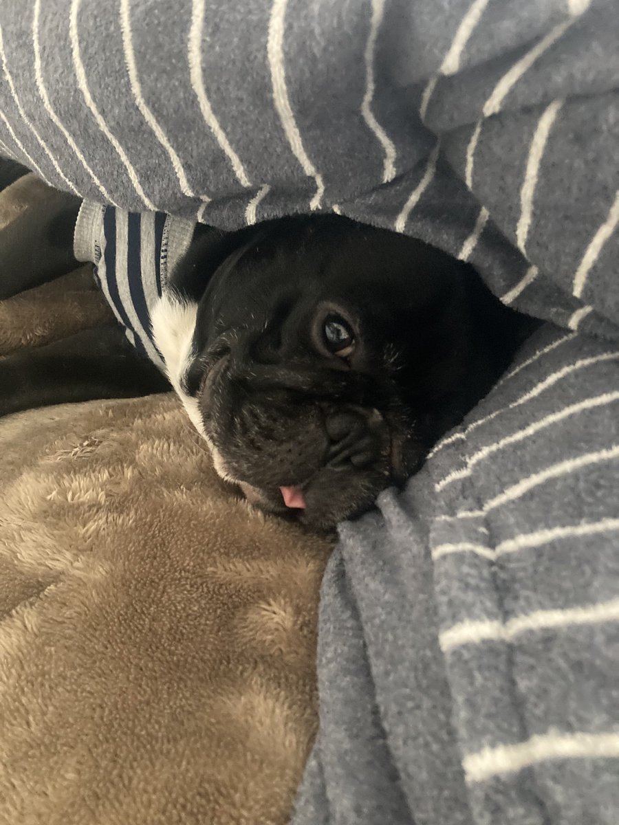 こうちゃん (@tbmc6) / Posts / X