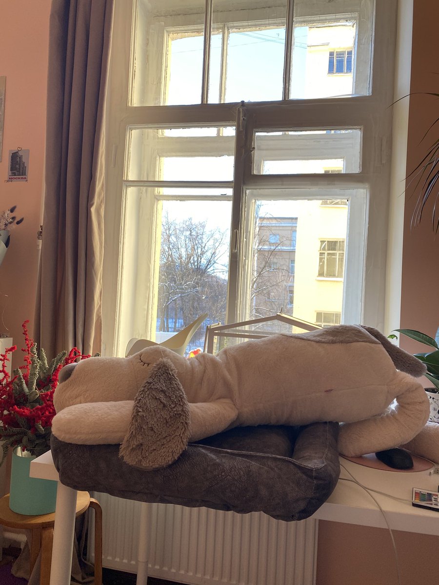 Bublichka_'s tweet photo. Завела собаку https://t.co/QAcIllIVAT